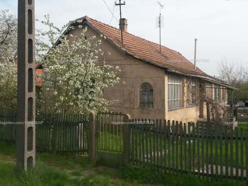 Ingatlan kép