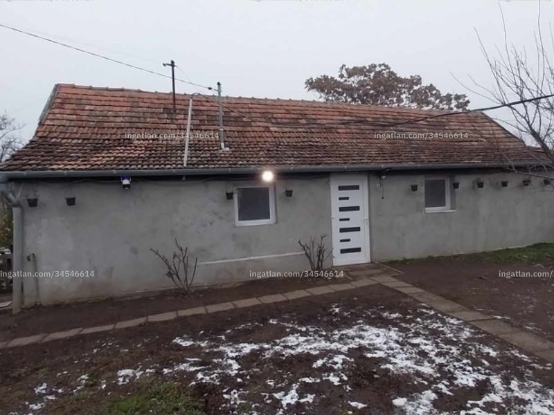 Ingatlan kép