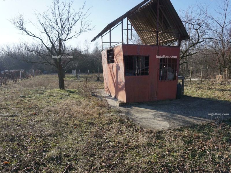Ingatlan kép