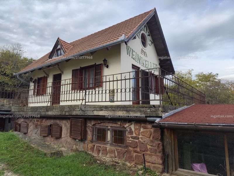 Ingatlan kép