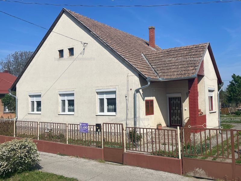 Ingatlan kép