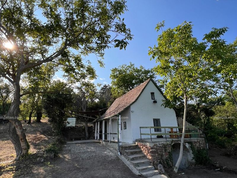 Ingatlan kép