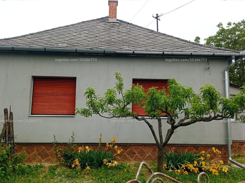 Ingatlan kép