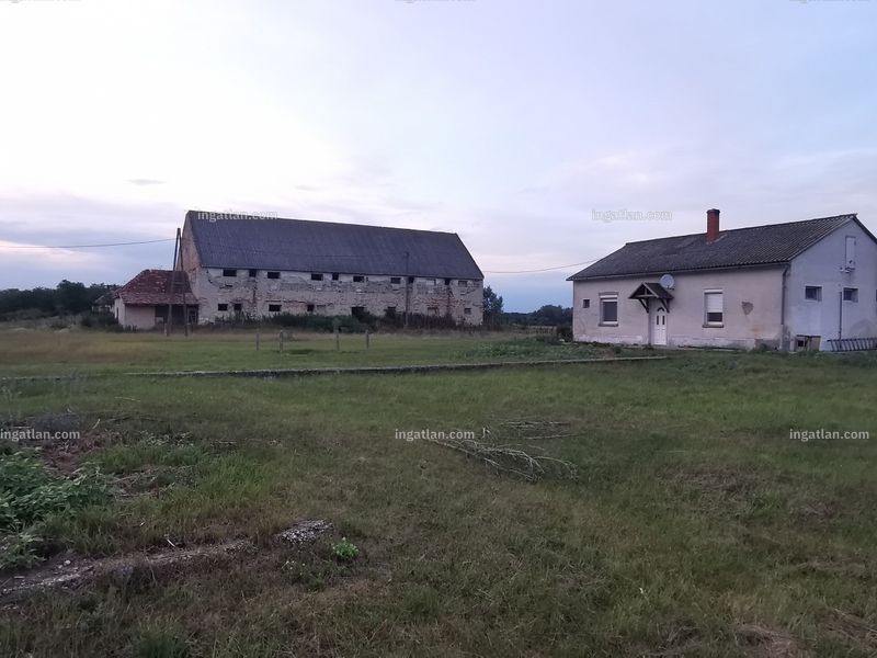 Ingatlan kép