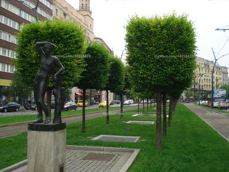 Ingatlan kép