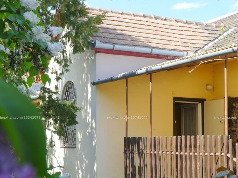 Ingatlan kép