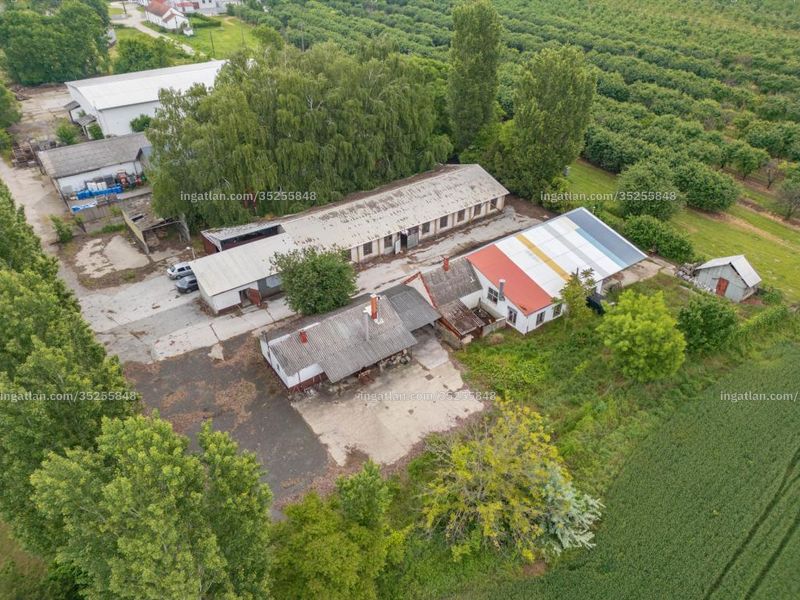 Ingatlan kép