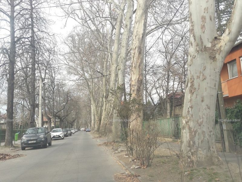 Ingatlan kép