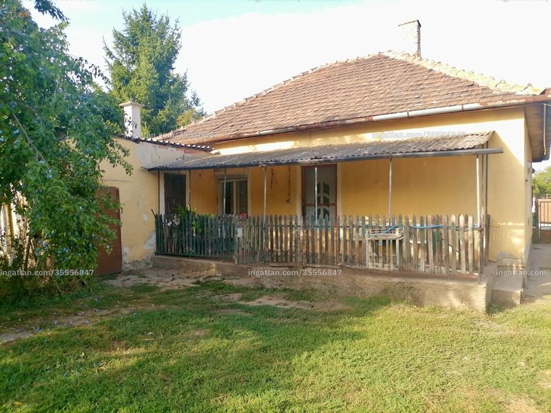 Ingatlan kép