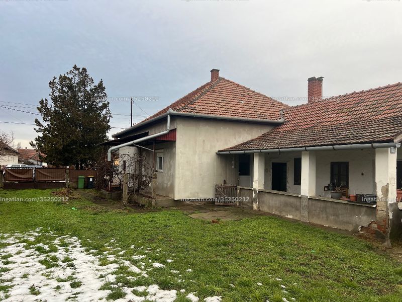 Ingatlan kép