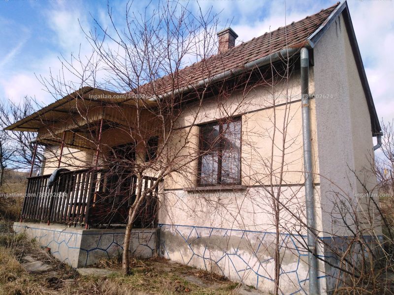 Ingatlan kép