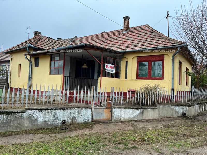 Ingatlan kép
