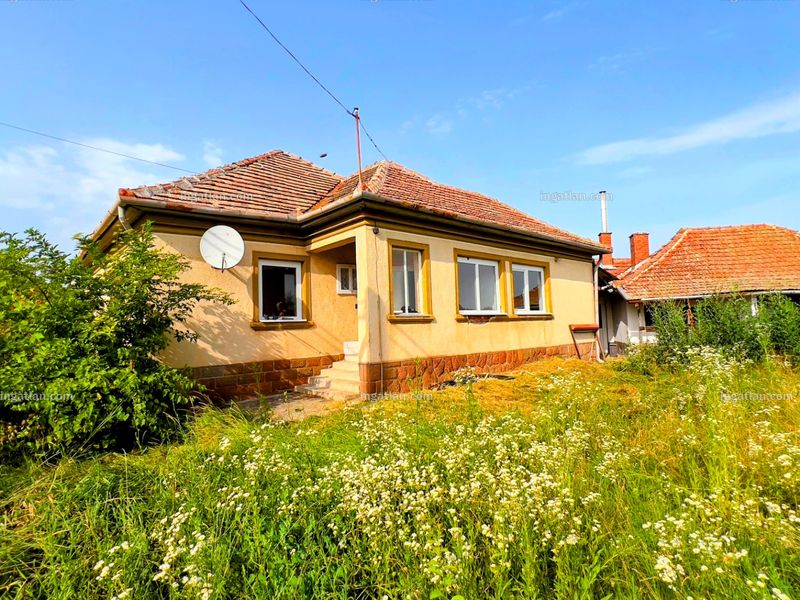 Ingatlan kép