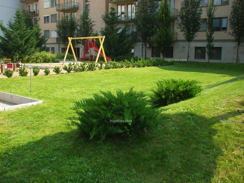 Ingatlan kép