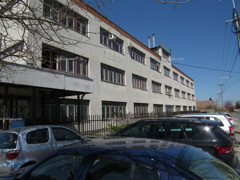 Ingatlan kép