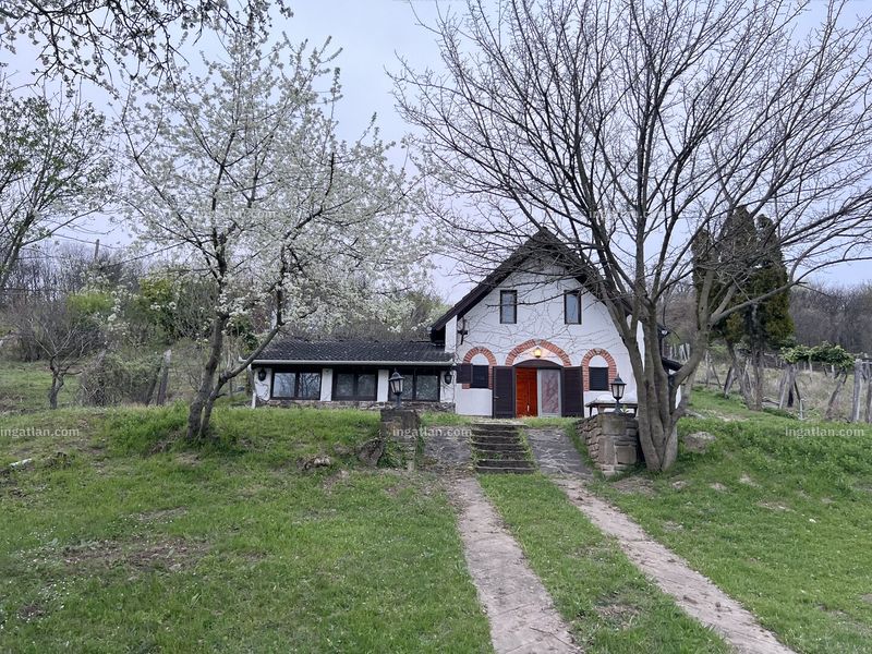 Ingatlan kép