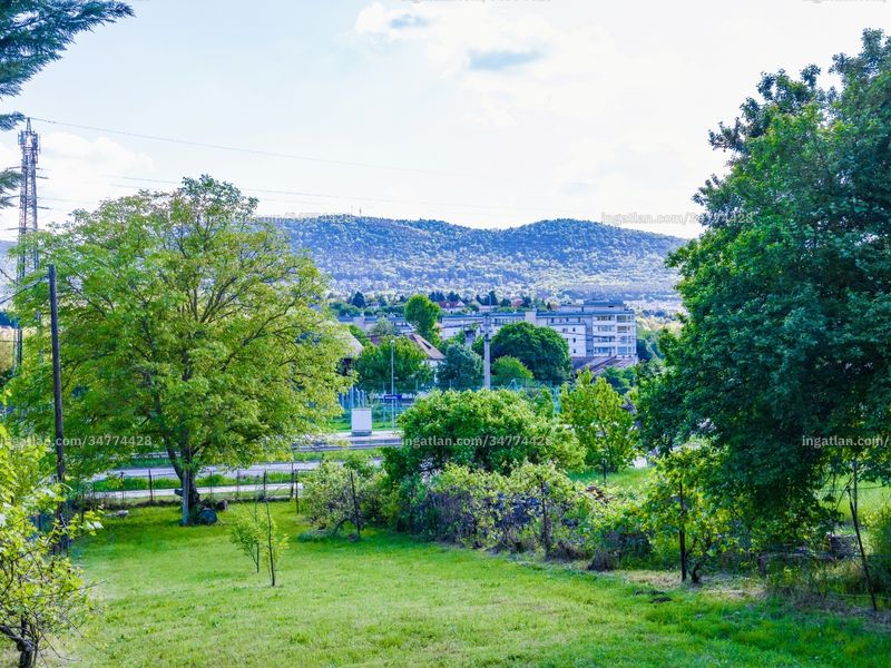 Ingatlan kép