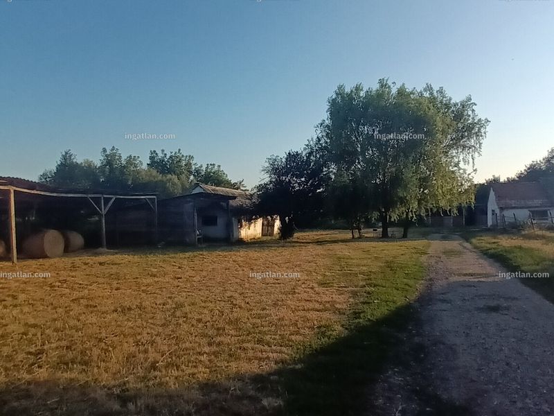Ingatlan kép