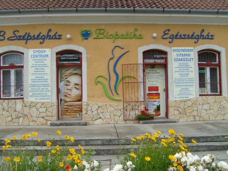 Ingatlan kép