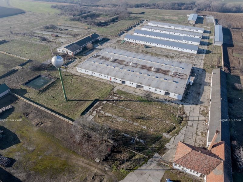 Ingatlan kép
