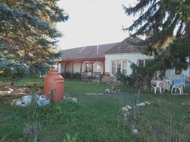 Ingatlan kép