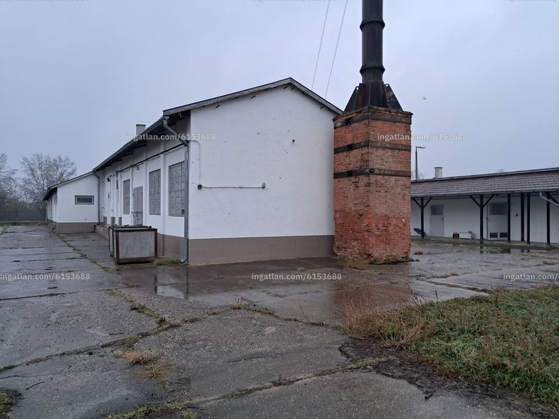 Ingatlan kép