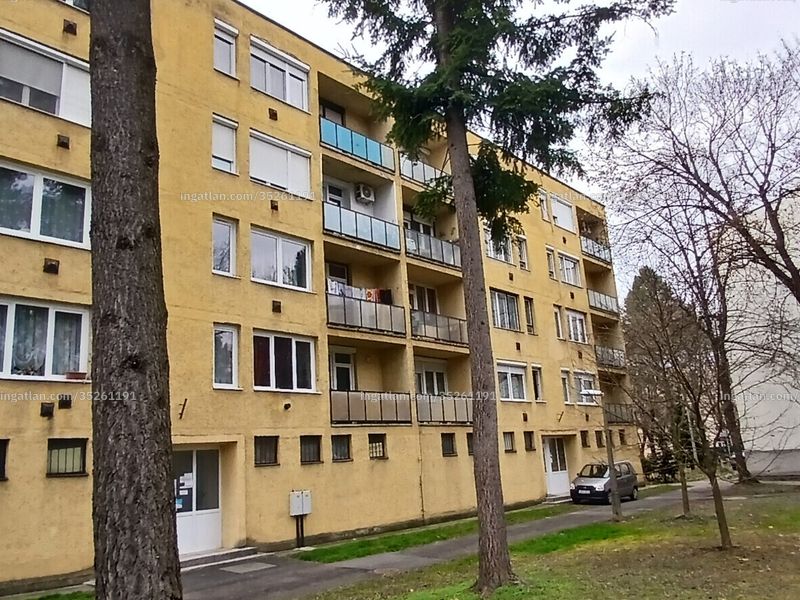 Ingatlan kép