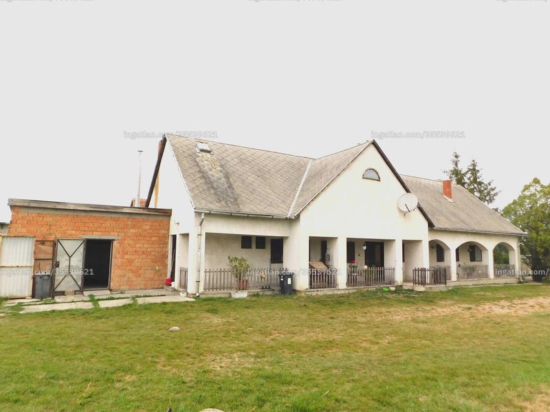 Ingatlan kép