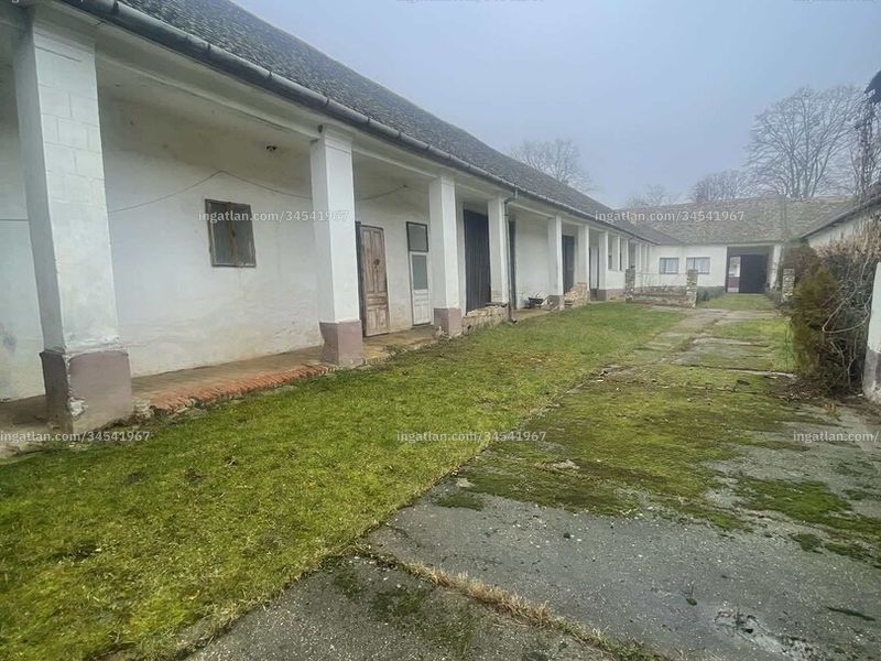 Ingatlan kép