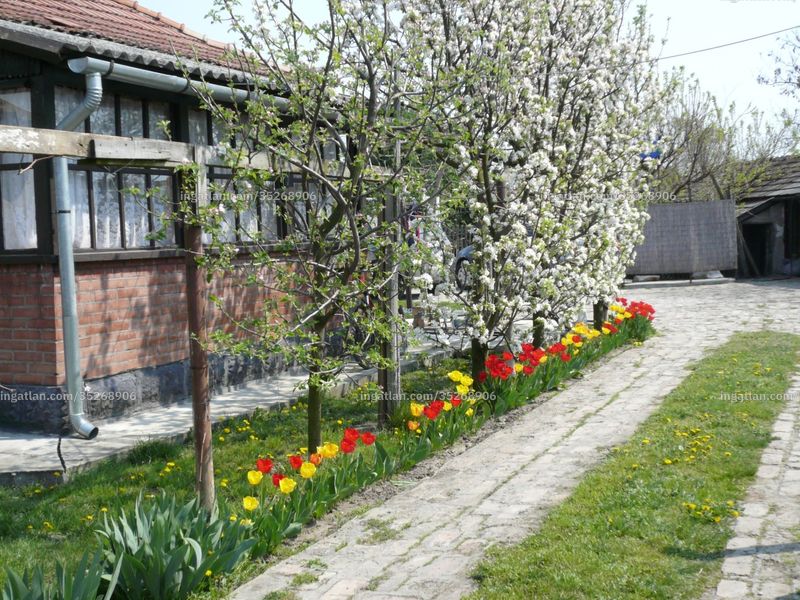 Ingatlan kép