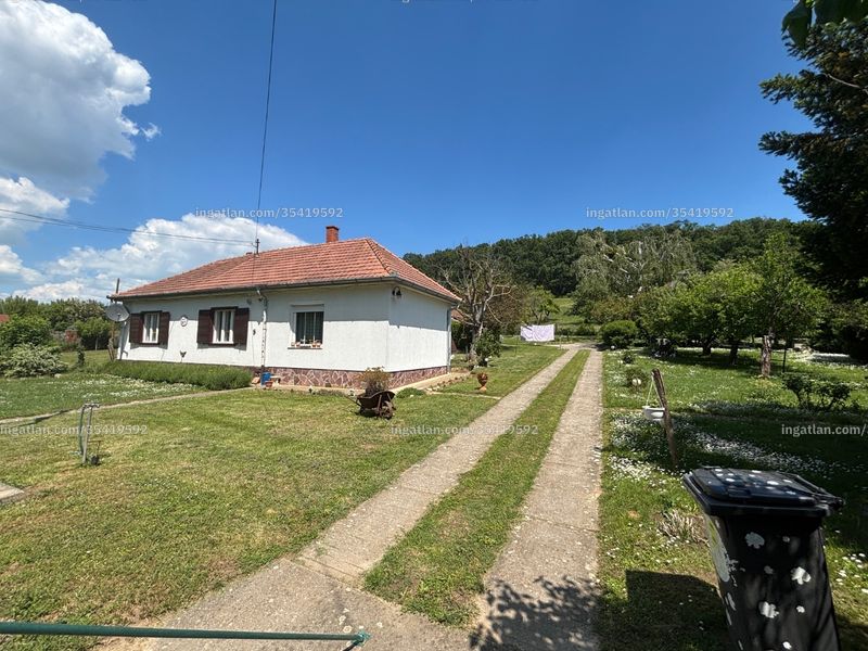 Ingatlan kép
