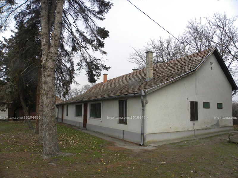 Ingatlan kép