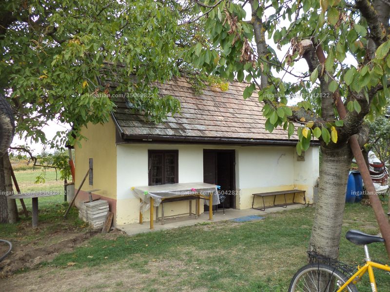 Ingatlan kép