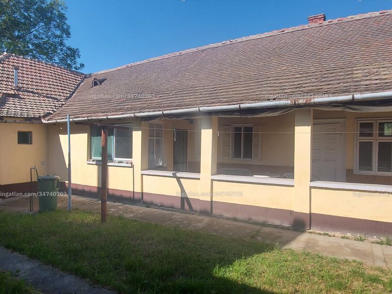 Ingatlan kép