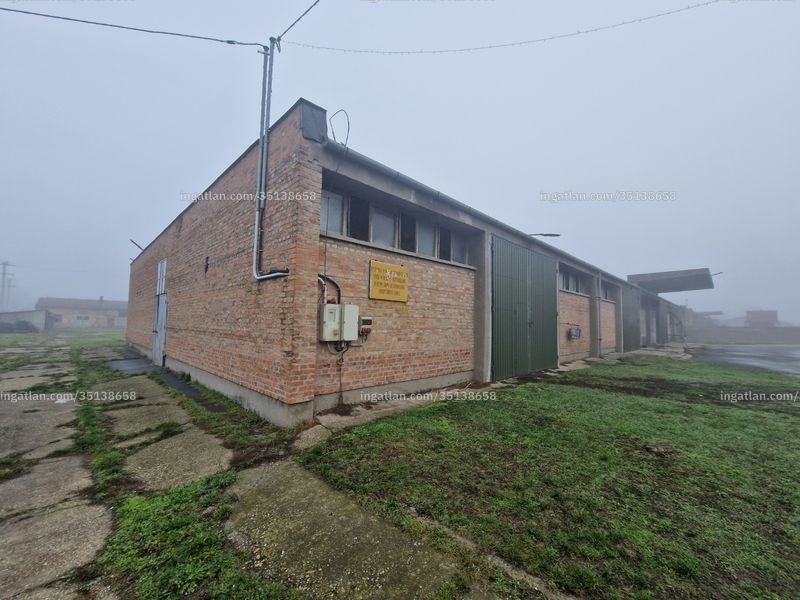 Ingatlan kép
