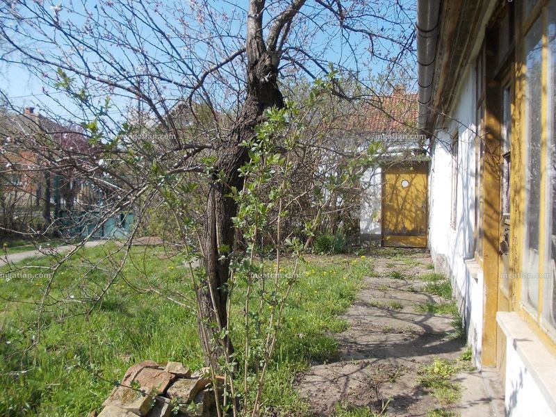 Ingatlan kép