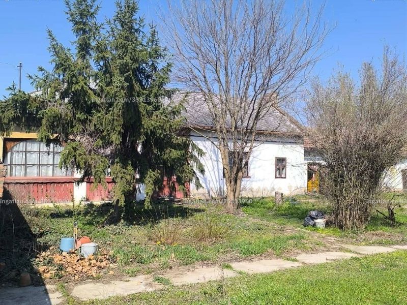 Ingatlan kép