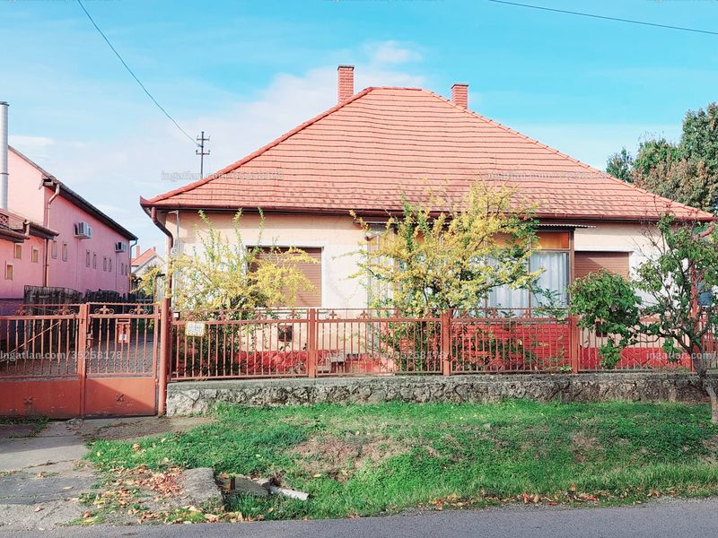 Ingatlan kép
