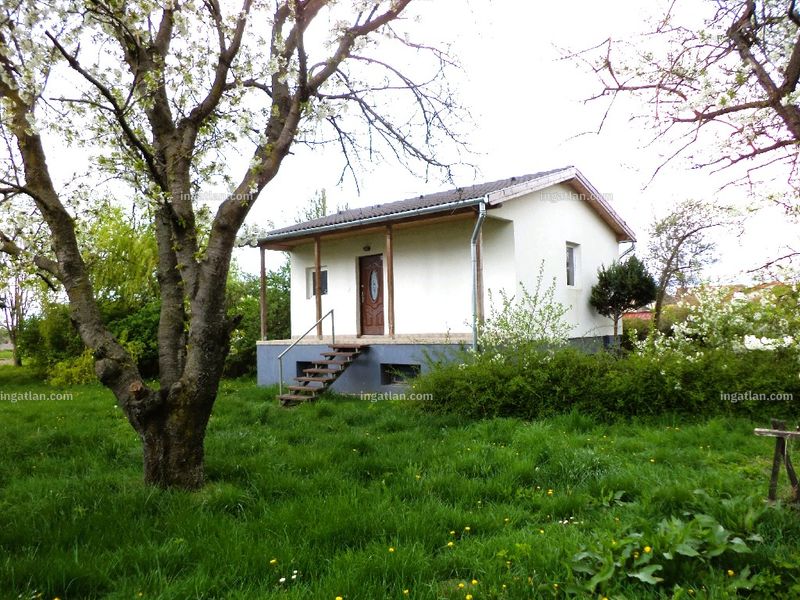 Ingatlan kép