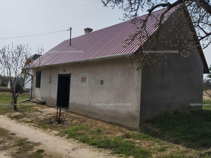 Ingatlan kép