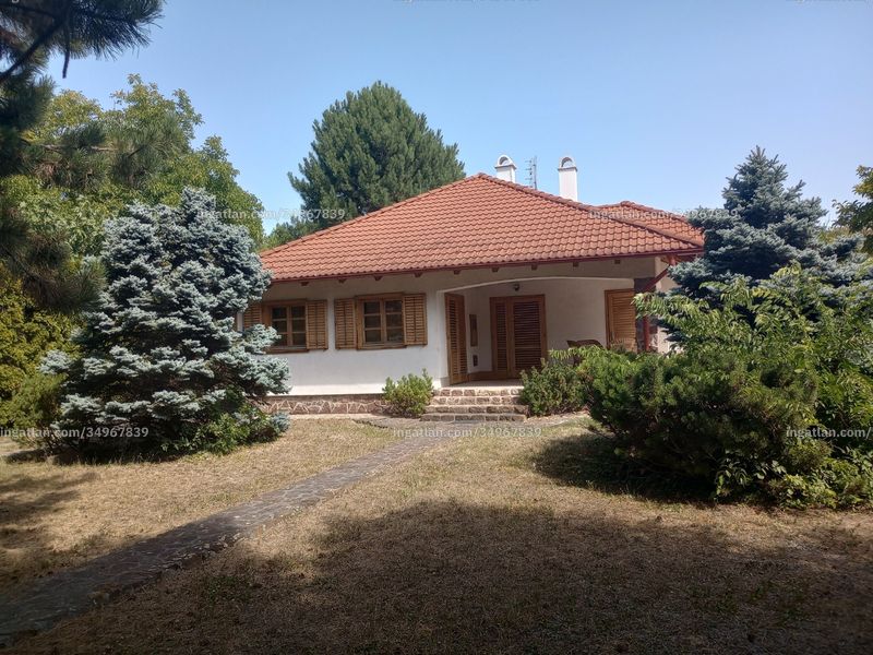 Ingatlan kép