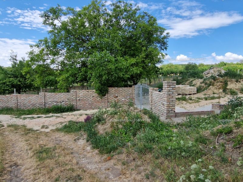 Ingatlan kép