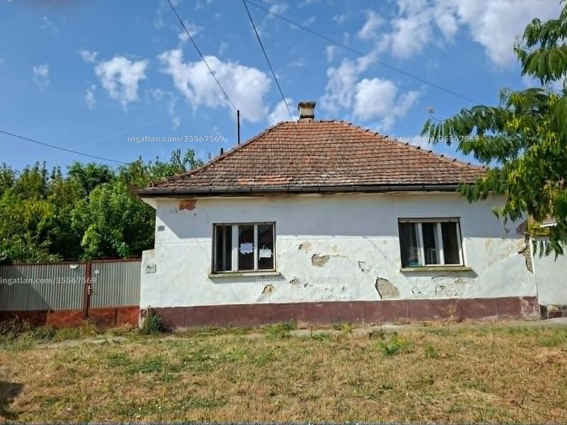Ingatlan kép