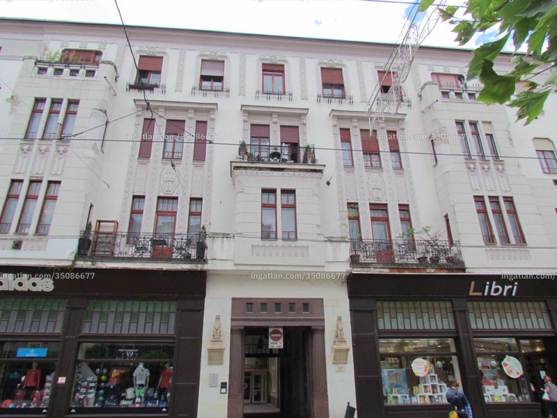 Ingatlan kép