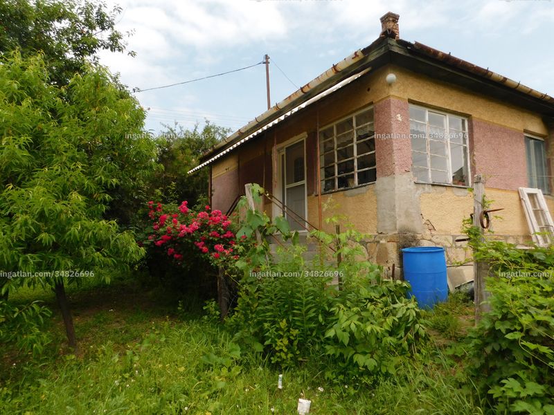 Ingatlan kép