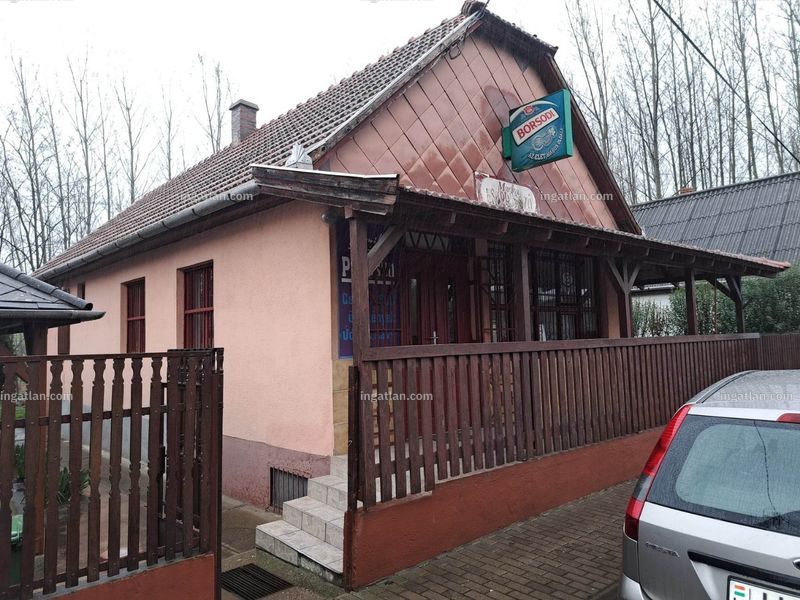Ingatlan kép