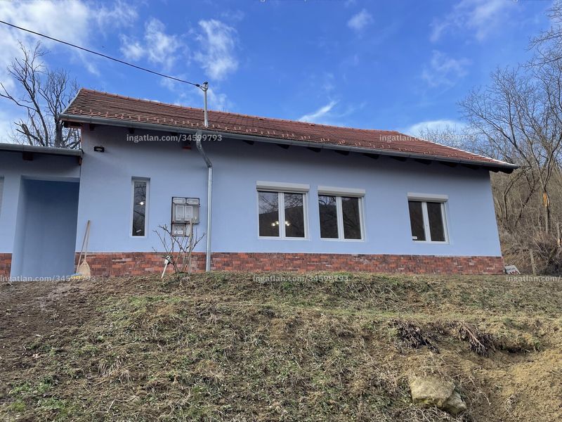 Ingatlan kép