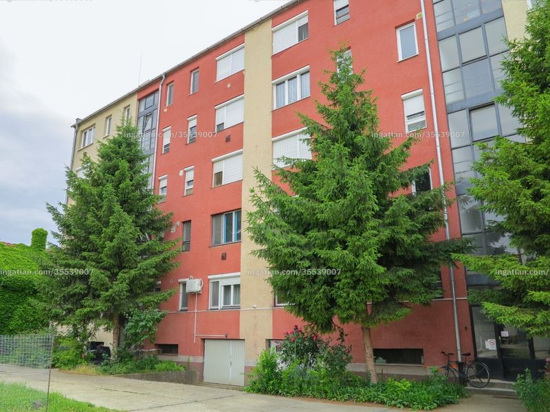 Ingatlan kép