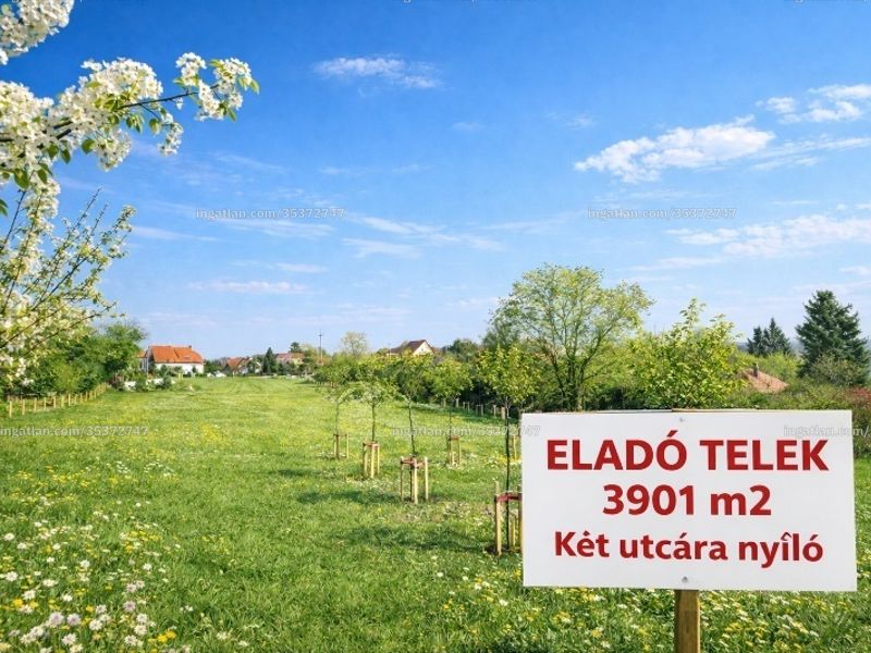 Ingatlan kép