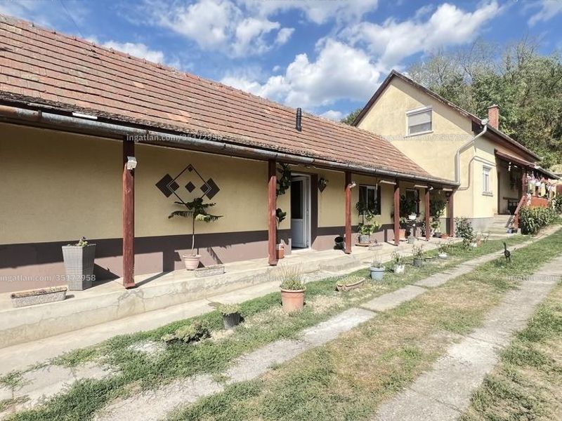 Ingatlan kép